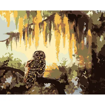 ZUTY Malování podle čísel - SOVA A STROMY (D. RUSTY RUST) Rozměr: 40x50 cm, Rámování: bez rámu a bez vypnutí plátna