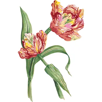 ZUTY Malování podle čísel - TULIPÁN (ALEXANDRIA GILBERT) Rozměr: 40x50 cm, Rámování: bez rámu a bez vypnutí plátna