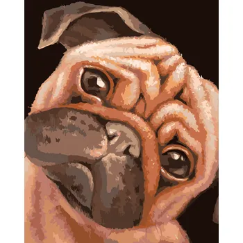 ZUTY Malování podle čísel - HNĚDÝ MOPSÍK (MYROSLAVA VOLOSCHUK) Rozměr: 40x50 cm, Rámování: bez rámu a bez vypnutí plátna