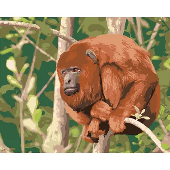 ZUTY Malování podle čísel - OPICE MANTLED ODPOČÍVAJÍCÍ NA STROMĚ Rozměr: 40x50 cm, Rámování: bez rámu a bez vypnutí plátna