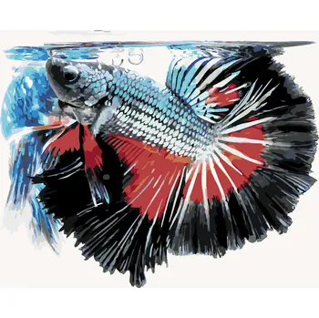 ZUTY Malování podle čísel - RYBA BOJOVNICE PESTRÁ Rozměr: 40x50 cm, Rámování: bez rámu a bez vypnutí plátna