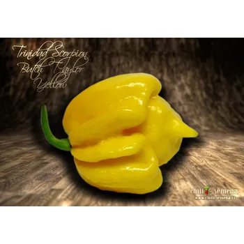 Semeno chilli-semena Trinidad Scorpion Butch Taylor Yellow