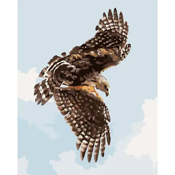 ZUTY Malování podle čísel - JESTŘÁB (D. RUSTY RUST) Rozměr: 40x50 cm, Rámování: bez rámu a bez vypnutí plátna