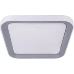 Ideus Plafoniera ARIEL LED D 48W stříbrná