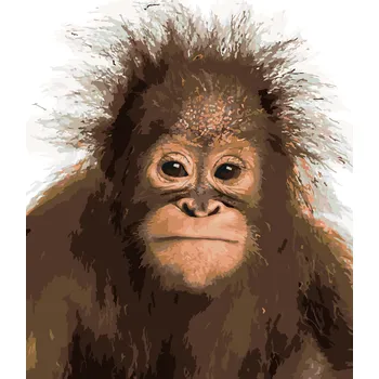 ZUTY Malování podle čísel - MLADÝ ORANGUTAN Rozměr: 40x50 cm, Rámování: bez rámu a bez vypnutí plátna