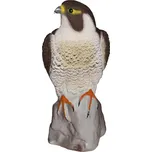 Sport plast Trojrozměrná maketa dravce - sokol stěhovavý 45 cm