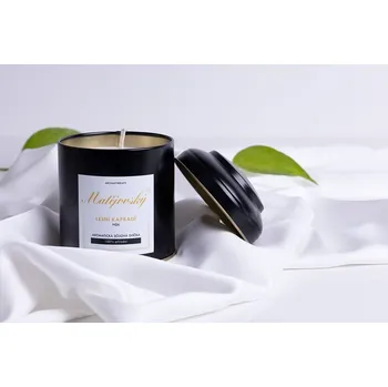 Matějovský Lesní kapradí