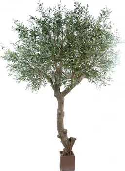 Umělá květina Vert Espace Head To Geant olivovník 270 cm