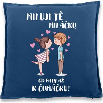 Dekorativní polštářek Polštářek pro zamilované - Miluji tě miláčku, Barva Modrá, Velikost 40×40 cm, Canvas Bavlněný polštář Bezvatriko.cz 0934 - 1x