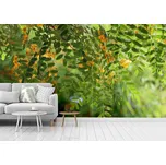 Malvis ® Tapeta Zelené lístky Vel. (šířka x výška): 144 x 105 cm