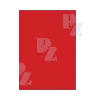 Karton 50x70 oboustranný 300 g/m2 červený, Herlitz