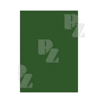 Výtvárné potřeby Karton 50x70 oboustranný 300 g/m2 tmavě zelený, Herlitz