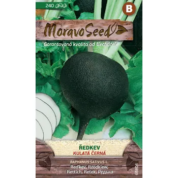 Semeno MoravoSeed Ředkev kulatá černá 240 ks