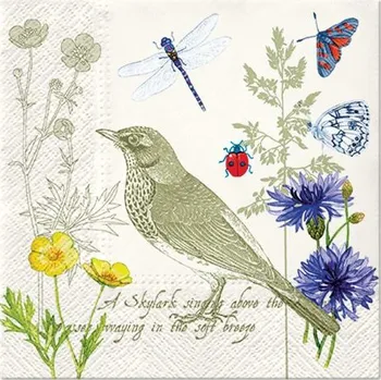 Paw ubrousky 33x33cm, 3V - skřivan - 20 ks