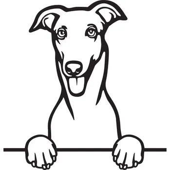 Vsepropejska Chrt 2 dřevěná dekorace na zeď Rozměr (cm): 38 x 36