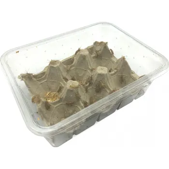 Krmivo pro hlodavce Cvrček domácí malý 0,5 dcl