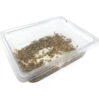 Krmivo pro hlodavce Cvrček domácí mikro - krabička
