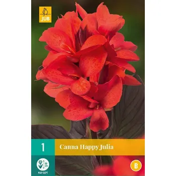 Cibulovina JUB Holland Dosna Happy Julia 1 ks