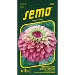 SEMO Ostálka lepá Queen Lime Red 15 ks