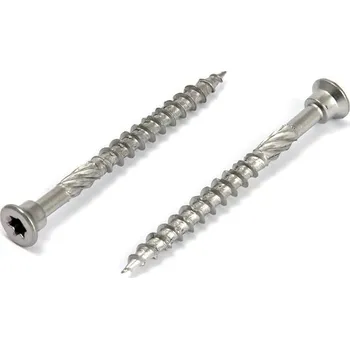 Vrut Vruty s cyl.hl 5 x 60 TX nerez C1