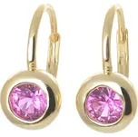 Stříbrné pozlacené naušnice se zirkony STNAU1387F