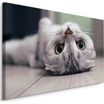 Dekorativní polštářek MyBestHome BOX Plátno Skotská Fold Kočka Varianta: 30x20