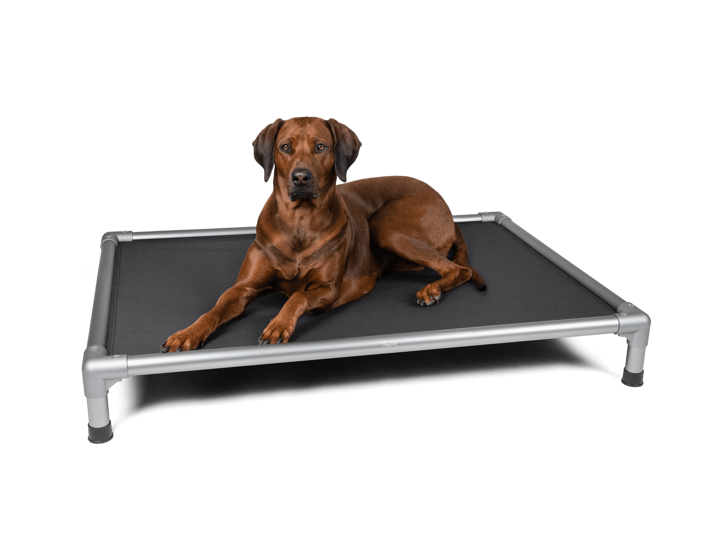 TrendPet Zdravotní lehátko KingBed Velikost: S 75 x 55 cm