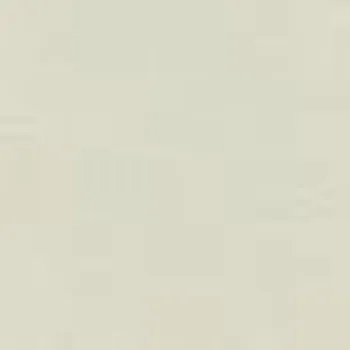 Plech Plech pozinkovaný šedo bílý 0,55 x1250x2000 mm RAL 9002 TATA ŠB