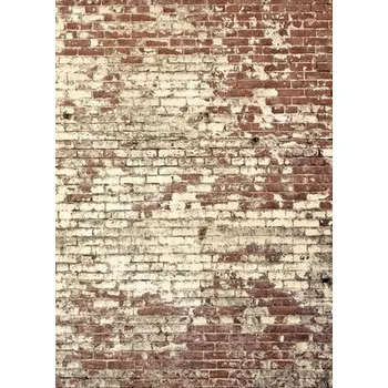 Obklad Vliesový panel 103438203 Kamenný dekor 200x280 cm