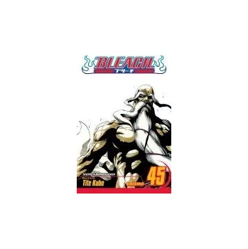 Bleach, Vol. 45 - Kubo, Tite