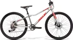 Amulet Youngster 24" 2023 Alu Brushed…