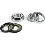 PROX ložiska řízení s těsnícími prvky BUELL FIREBOLT / LIGHTING, CAGIVA ELEPHANT / raptor, HARLEY-DAVIDSON (22-1032) (PROX ložiska řízení s těsnícími prvky BUELL FIREBOLT / LIGHTING, CAGIVA ELEPHANT / raptor, HARLEY-DAVIDSON (22-1032))