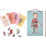 Magnetická skládačka Lidské tělo svaly kostra orgány Bodymagnet Janod od 7 let