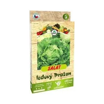 Semeno BIOM Salát ledový Pražan na pásku 5 m exp.12.2025