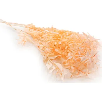 umělá květina mech-mech.cz Stabilizovaný Ruskus (Ruscus) - Broskvový