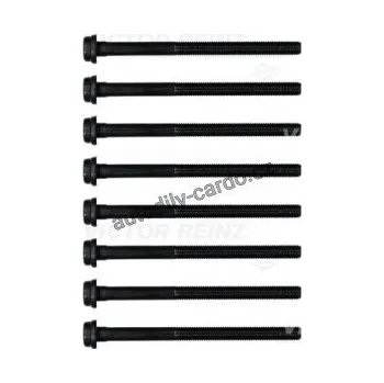 Automobilové těsnění Sada šroubů pro hlavy válcu VICTOR REINZ (VR 14-32106-01)