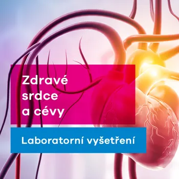 Diagnostický test Zdravé srdce a cévy