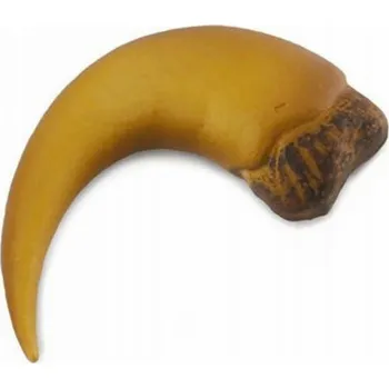 Collecta figurka BARYONYXŮV DRÁP V BOXU - CollectA - 89282