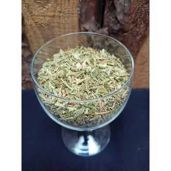 Plavuň nať - Bylinky (Lycopodii herba cs.)