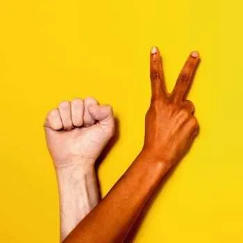 Zahraniční hudba CD Oy: World Wide We 2023