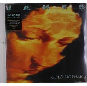 Zahraniční hudba 2LP James: Gold Mother 2017 180g Vinyl