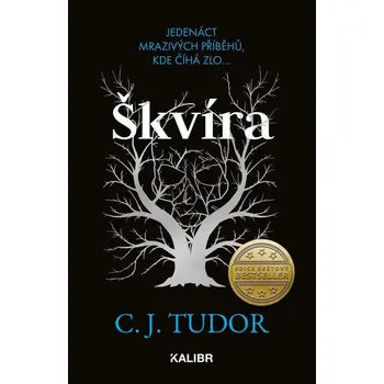 Škvíra - C. J. Tudor (2023) [E-kniha]