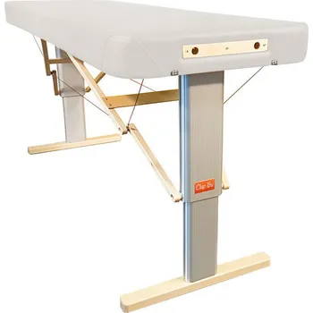 Masáž Přenosné elektrické masážní lehátko Clap Tzu Linea Wellness PU - bílá (white), Doplňky: síťové napájení, Rozměry: 192 x 75 cm od 192*75 cm | 29 kg | 13 barev