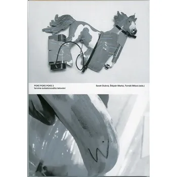 Akademie výtvarných umění Poke Poke Poke 2. Fanzie outsalonového tetování