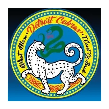 Zahraniční hudba SP The Detroit Cobras: What More b/w I Can't Go Back 2019