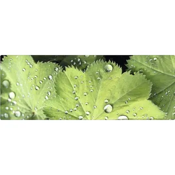 Obklad Koupelnová zádní stěna mySPOTTI aqua Good morning 120x45 cm