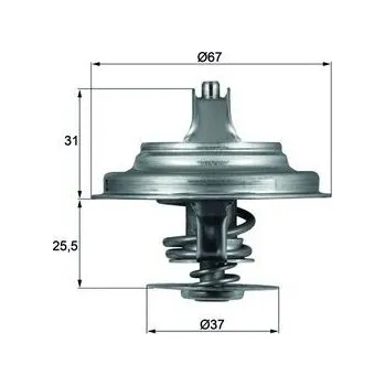 Těsnění motoru Termostat, chladivo MAHLE ORIGINAL TX 25 87D