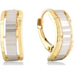 Lillian Vassago Patentové náušnice v kombinovaném zlatě LLV06-GER172