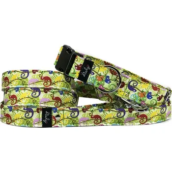 Obojek pro psa Obojek HAPPYZOO BY KIWLY softshell Chameleóni 2,5x27-40cm