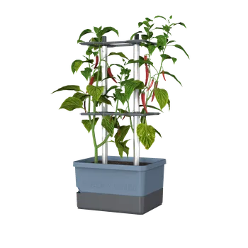 Květináč Gusta Garden Samozavlažovací květináč Charlie Chilly Barva: Modrá